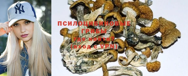 спайс Белокуриха
