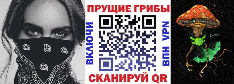 где продают   Щигры  Галлюциногенные грибы GOLDEN TEACHER 